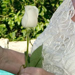 Barbados Wedding Rose Ceremony